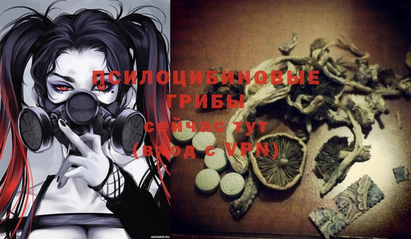 дурь Наволоки