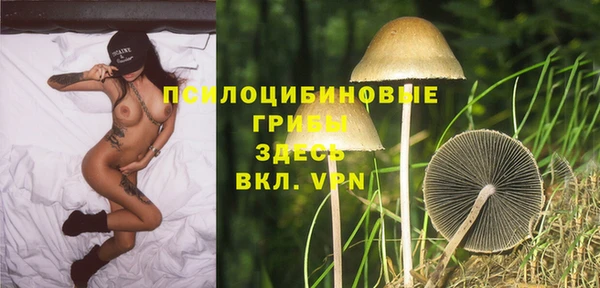 2c-b Михайловск