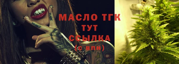твердый Михайлов