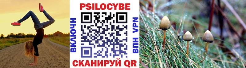 Псилоцибиновые грибы GOLDEN TEACHER  Яхрома 